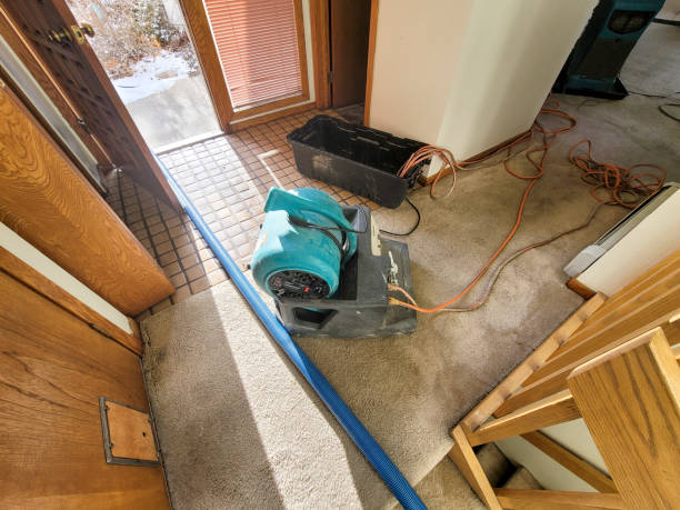 Best Water damage restoration near me  in Rossville, TN