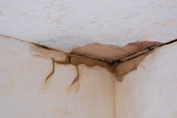 Best Water damage contractors near me  in Rossville, TN
