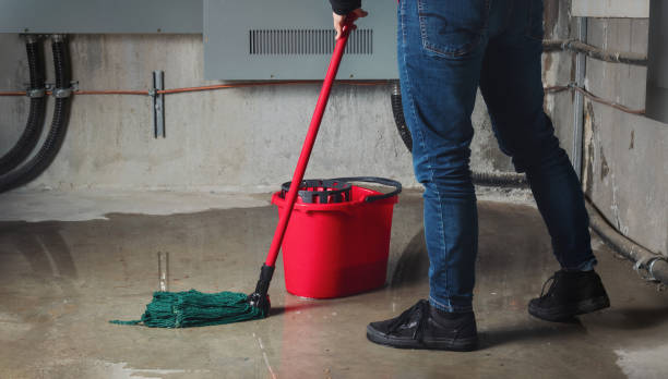 Best Basement water damage restoration  in Rossville, TN