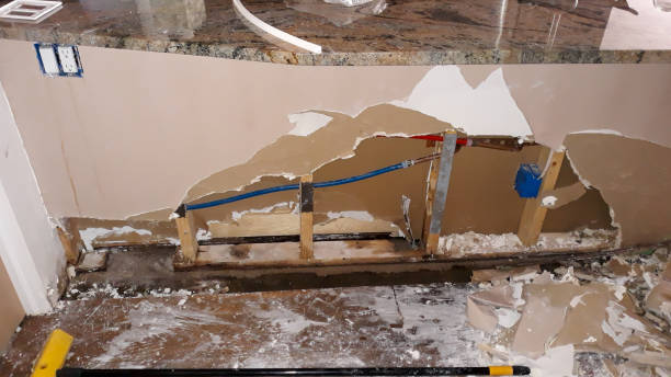 Best Water damage restoration specialists  in Rossville, TN