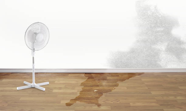 Best Emergency water damage restoration  in Rossville, TN