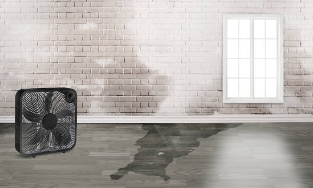 Local water damage restoration in Rossville, TN