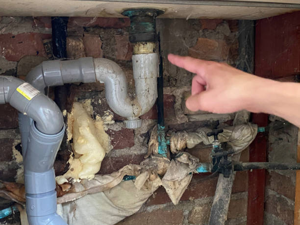Best Flooded house restoration  in Rossville, TN